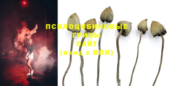 ALPHA PVP Остров