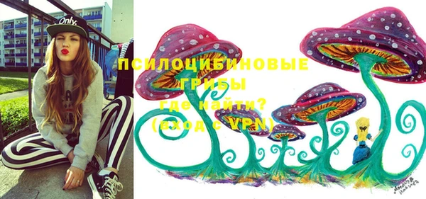 ешки Осташков