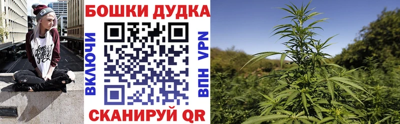 mega как войти  Алатырь  Шишки марихуана семена 